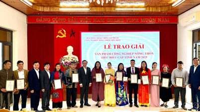 Lao Cai hedrer 15 fremragende landlige industriprodukter i 2025.