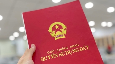 Does the new regulation allow each person to have their own land ownership certificate?