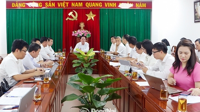 Định hướng quy hoạch đô thị Long Thành thành 5 phân khu