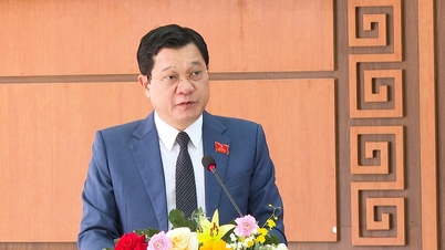 รายได้จากงบประมาณของเขตแทมกีในปี 2025 สูงกว่าเป้าหมายที่ตั้งไว้ถึง 386%