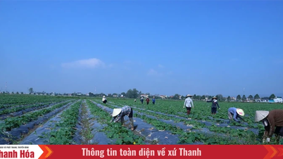 Ba Đình mở rộng không gian phát triển, tạo động lực tăng thu nhập cho người dân