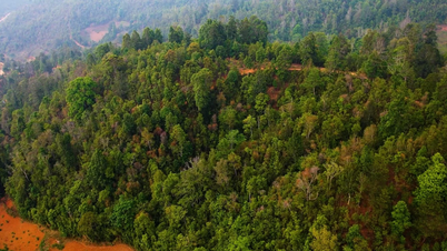 পর্যটন উন্নয়নের জন্য বন রক্ষা করা।