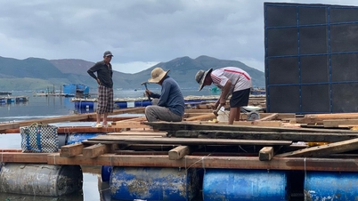 Le marché du homard se remet des tempêtes et des inondations.