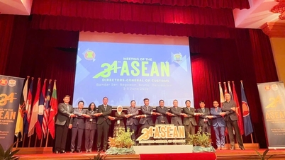 International cooperation - a pillar in enhancing the capacity and prestige of Vietnam Customs.