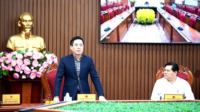 প্রাদেশিক গণ কমিটি তার এখতিয়ারের মধ্যে থাকা বেশ কয়েকটি বিষয়ে মতামত দেয়।