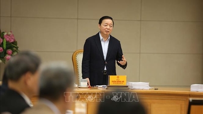 이중 지방 정부 모델을 조화시키기 위해 농업 및 환경 관련 12개 법령을 확정합니다.