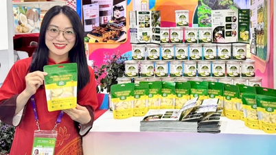 Gia Lai: Mở rộng không gian kết nối, thúc đẩy tiêu thụ sản phẩm