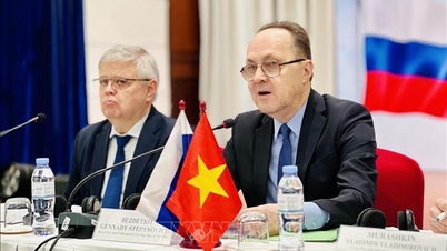 L’ambassadeur russe Bezdetko : Créer une dynamique forte pour le développement d’une coopération multiforme entre le Vietnam et la Fédération de Russie.