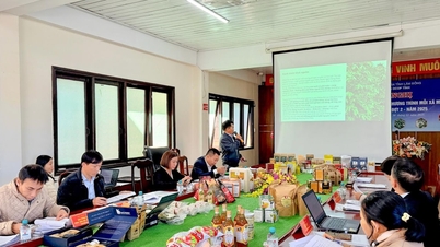 Lâm Đồng phân hạng sản phẩm OCOP cấp tỉnh đợt 2 năm 2025