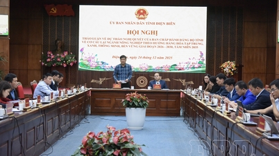 Dien Bien province is seeking opinions on the draft resolution to restructure the agricultural sector.