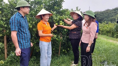 Promoting the role of farmers in agricultural and rural development.