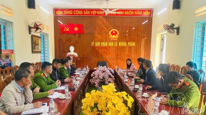 Na Tau ve Muong Phang beldelerindeki 10 manyok işleme tesisinin faaliyetlerinin denetlenmesi.