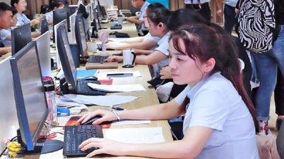 Chính sách mới nổi bật có hiệu lực từ tháng 1/2026: Tăng lương tối thiểu, miễn thuế đất nông nghiệp