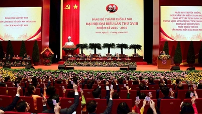 Memperkukuh aktiviti maklumat luaran mengenai Kongres Kebangsaan Parti ke-14.