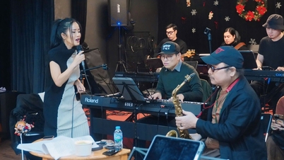 Aplazamiento de último momento del concierto: el cantante Hong Nhung se expresa con frustración.