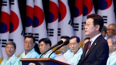 韓国大統領は済州航空機事故の真相を明らかにすると約束した。