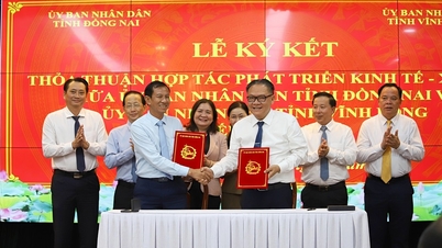 Vinh Long اور Dong Nai نے اقتصادی اور سماجی ترقی کے لیے تعاون کے معاہدے پر دستخط کیے۔
