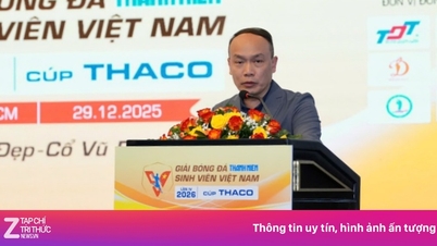 Truyền hứng khởi SEA Games 33 vào giải bóng đá sinh viên 2026