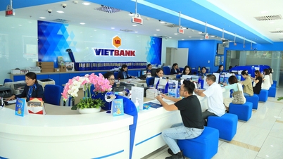 Vốn điều lệ của Vietbank vượt ngưỡng 10.000 tỷ đồng