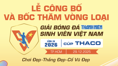 A TNSV THACO Kupa 2026 legfrissebb menetrendje: Minden mérkőzést élőben közvetítenek, hol lehet nézni?