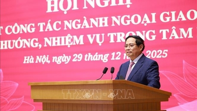 នាយករដ្ឋមន្ត្រី ផាម មិញជិញ៖ យើងត្រូវតែពន្លឿនការអនុវត្តយុទ្ធសាស្ត្រគោលនយោបាយការបរទេសដ៏ទូលំទូលាយដល់កម្រិតថ្មីមួយ។
