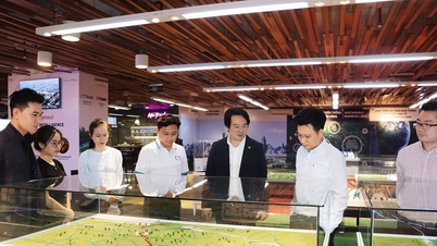 L'aspirazione a possedere una fabbrica di chip "Made by Vietnam"