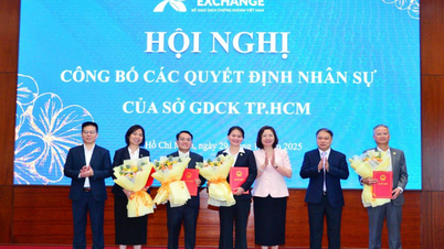 Pani Nguyen Thi Viet Ha została mianowana dyrektorem generalnym HoSE.