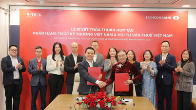 Techcombank hợp tác với Hội Tư vấn thuế Việt Nam hỗ trợ hộ kinh doanh
