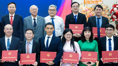 De enige Vietnamese wiskundeprofessor die in 2025 benoemd zal worden, komt aan de Technische Universiteit van Ho Chi Minh-stad.