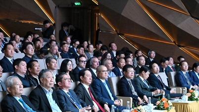 이번 회의에서는 결의안 57에 따라 "3자" 모델을 시행한 1년을 검토했습니다.