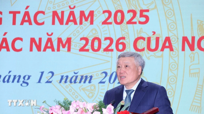 Wicepremier Nguyen Hoa Binh: Oceny kadr muszą być dokładne, a nie powierzchowne.