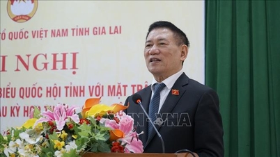 Phó Thủ tướng Hồ Đức Phớc tiếp xúc cử tri tại Gia Lai