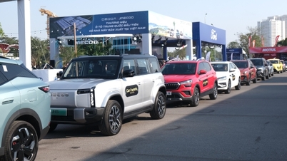 Unternehmen schlagen diversifizierte Wege zur Ökologisierung der Automobilindustrie vor.