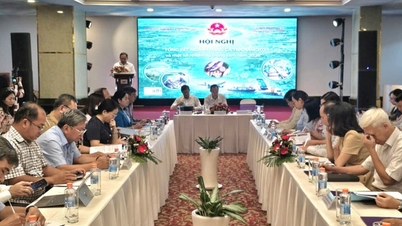 Xuất khẩu cá tra năm 2025: Dự kiến đạt 2,1 tỷ USD