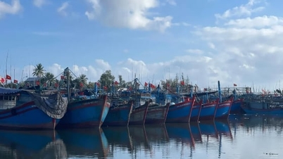 La province de Quang Ngai prévoit de dépenser plus de 20 milliards de dongs pour aider les pêcheurs à se reconvertir.