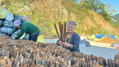 Près de 1 200 femmes membres de la commune de Bao Ha ont eu accès à des crédits pour soutenir le développement économique.