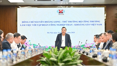 Le vice-ministre Nguyen Hoang Long travaille avec le Groupement de l'industrie charbonnière et minière du Vietnam.