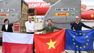 La Pologne fournit au Vietnam 7 tonnes d'aide pour l'aider à surmonter les conséquences des tempêtes et des inondations.