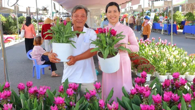 Der lebhafte Sa Dec Blumen- und Zierpflanzenmarkt – ein Ort, der Blumenliebhaber verbindet.