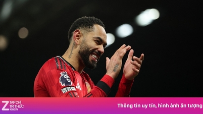 عندما تثبت الأرقام صحة هجوم جامعة مانشستر