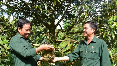 Para veteran saling membantu untuk mencapai pengurangan kemiskinan yang berkelanjutan.