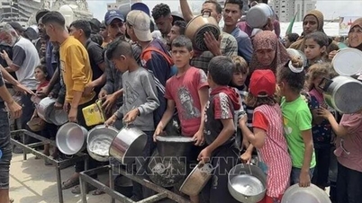 अमेरिका ने संयुक्त राष्ट्र की मानवीय सहायता के लिए 2 अरब डॉलर देने का वादा किया है।
