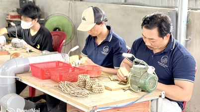 Để hộ kinh doanh phát triển lên doanh nghiệp