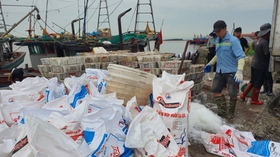Hung Yen secara aktif berupaya menghapus kartu kuning IUU (Illegal, Unregulated, and Unregulated); menyelaraskan infrastruktur irigasi dan pencegahan bencana.