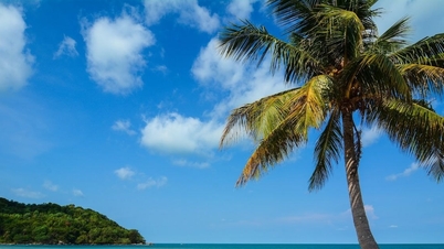Phu Quoc: 20 destinasi menakjubkan yang anda tidak boleh terlepas di Pulau Mutiara.