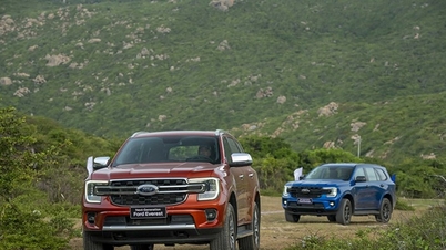 Ford Everest 2025 árlista: Ajánlatok és részletes specifikációk
