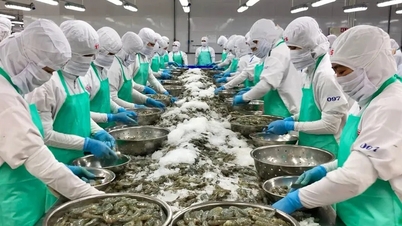 การส่งออกสินค้าเกษตร ป่าไม้ และสัตว์น้ำ มีมูลค่าเกิน 70 พันล้านดอลลาร์สหรัฐ