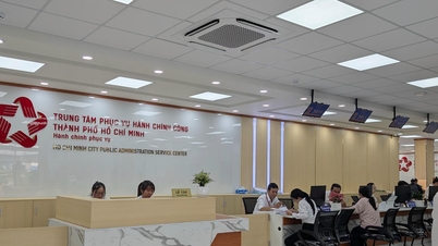 Prima zi de funcționare a Centrului de Servicii Administrative Publice din orașul Ho Chi Minh.
