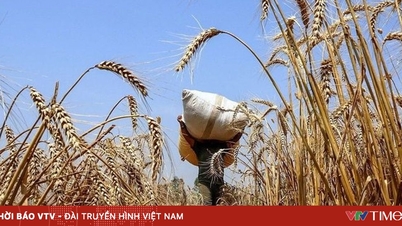 ราคาสินค้าโภคภัณฑ์อาจลดลงสู่ระดับต่ำสุดเป็นประวัติการณ์ในปี 2026