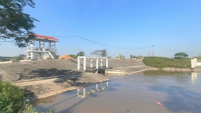 Hai Phong نے 2025-2026 میں موسم سرما کے موسم بہار کے چاول کی پودے لگانے کے لیے پانی کے اجرا کے دو ادوار کا اہتمام کیا۔